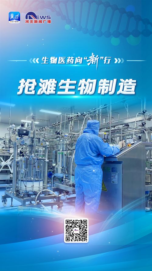 衡水新聞網
