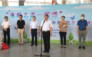 河北省科協 科協要聞 王海龍出席“生物之美-蝴蝶”主題科普展覽開展儀式