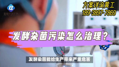 河北生物發(fā)酵企業(yè)車間雜菌污染解決方案 新型發(fā)酵常溫滅菌技術(shù)