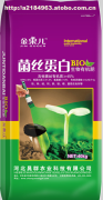 【菌絲蛋白生物有機肥】價格,廠家,圖片,供應商,生物肥料,河北晁群農(nóng)業(yè)科技 - 產(chǎn)品庫 - 阿土伯交易網(wǎng)